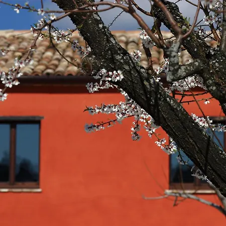 Agriturismo Segnavento Staffolo